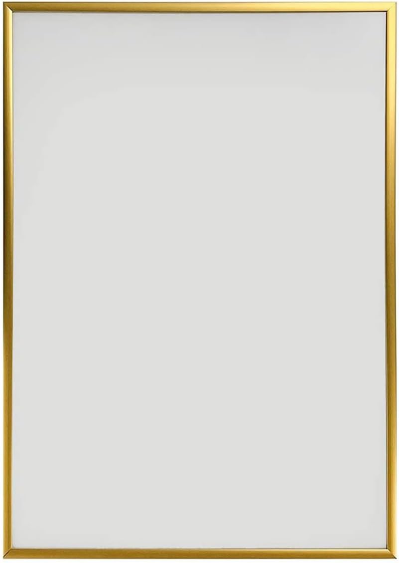 アートプリントジャパン Art Print Japan APJ Poster Frame Fitted Frame B3 364x515mm Gold 0020173355