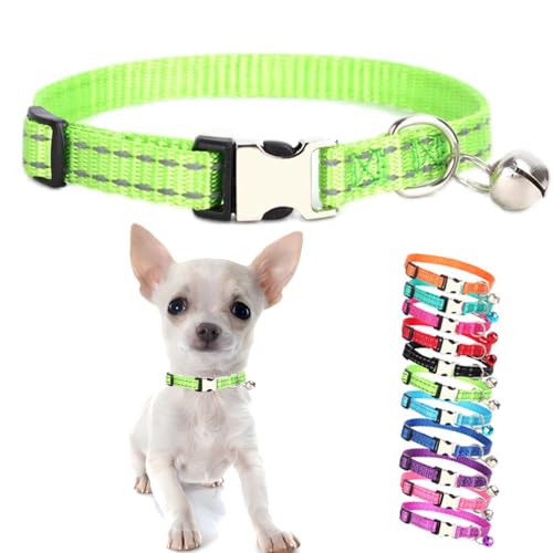 Collar reflectante XS para perro y gato con campana y hebilla