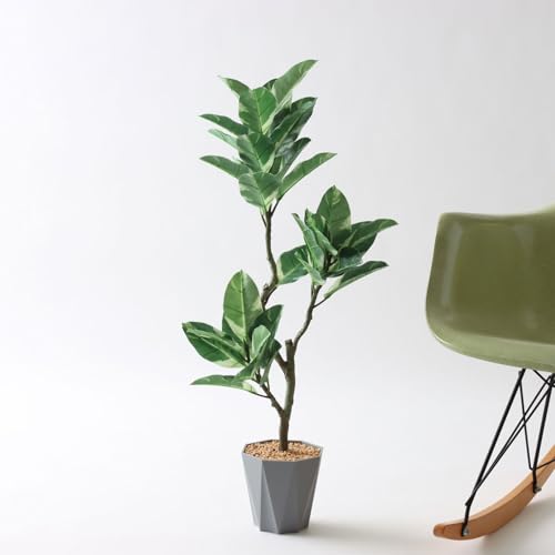 公式|造花ドットコム No8466 銀 酸化チタン 光触媒フェイクグリーン Formaポット仕様|インドゴムノキ(フィカス・エラスティカ)|高さ88cm×幅36cm×奥行35cm」(Formaポット付)【ギフト不可】 フェイク 室内 部屋 風水 消臭 リビ