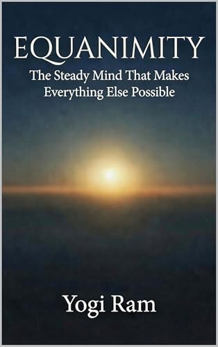 EQUANIMITY: The Steady Mind That Makes Everything Else Possible (BRILLIANCE Book 3)
