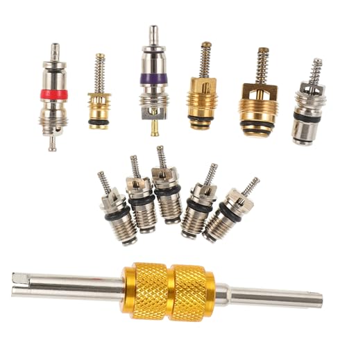 Kit para extracción de válvulas automotrices GLEAVI