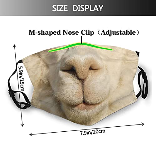 Funny Animals Face Mask Reusable Balaclavas Windproof Cloth Bandana Breathable Fashion Scarves For Adult (Alpaca Cute, 1 Pcs) #TOP1