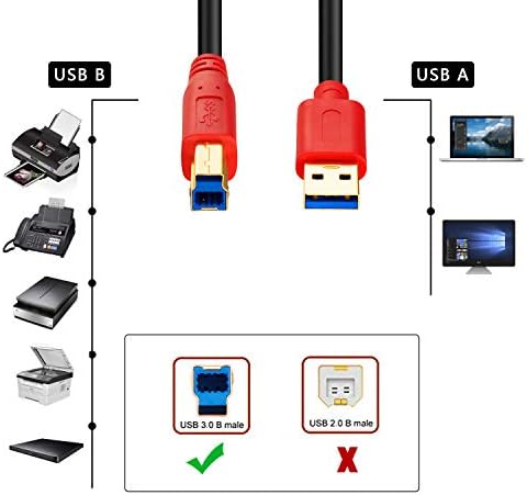 USB 3.0 Cable A Male to B Male 0.3M, TanQY Type A to B Male Compatible with Hard Disk Drive,Printers,Scanner,USB Hub,Monitor and More. (0.3M/1Ft, Red)