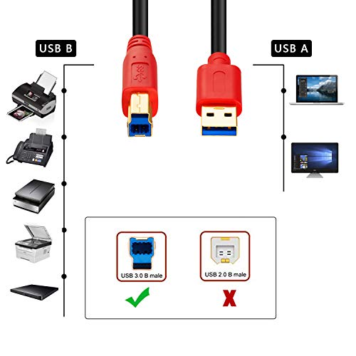 Usb 3.0 Cable A Male To B Male 20Ft,Tan Qy Type A To B Male Compatible With Hard Disk Drive,Printers,Scanner,Usb Hub,Monitor And More (6M/20Ft) #TOP6