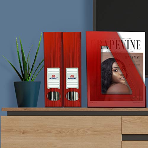 Acrimet Magazine File Holder Rack Organizer (Plastic) (Clear Red Color) (2 Pack) #TOP3