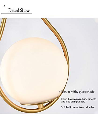 Holkirt Mid-Century Globe Wall Sconce Lamp Modern Vanity Wall Light Fixture Brass Finish #TOP4