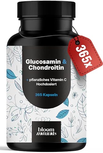 Glucosamin Chondroitin Hochdosiert - 365 Kapseln - mit pflanzlichem Vitamin C, Arthrose Kapseln - & produziert in Deutschland - Verpackung kann variieren Laborgeprüft