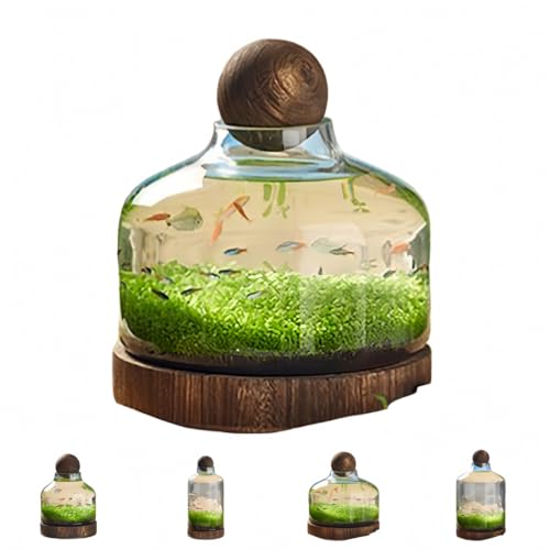 ShineLuxe日本式透明ガラス金魚鉢/景観セット | 木製トレイ付き/厚手で環境に優しい素材 | 水耕栽培/ミニチュア景観に最適な選択 | 住宅用室内水槽 (C:32*27cm)