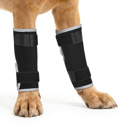 Pawfun Dog Front Leg Brace- 2PCS Compression Wrap with Adjustable Straps- Dog Wrist Brace for Support Aid in Wound Care and Recovery,M