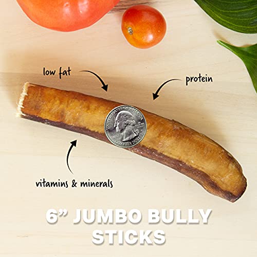 Downtown Pet Supply 6 Inch 5 Pack Of Jumbo Extra Thick Bully Sticks For Large Dogs, Single Ingredient, Rawhide-Free Long Lasting Bully Sticks For Medium Dogs- Alternative Chew Bones For Medium Dogs #TOP1