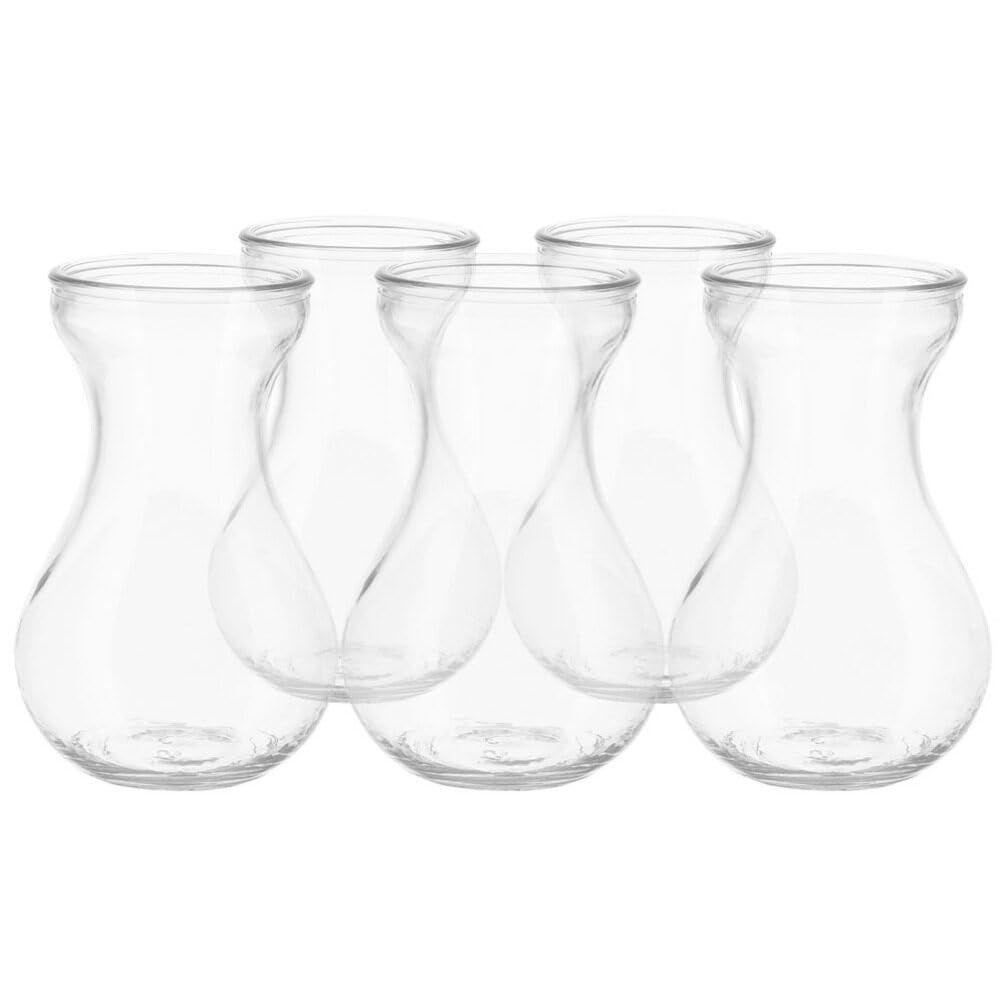 Alipis Glass Hyacinth Bulb Vase Set of 5 Clear Small Desktop for Indoor Plants Hydroponic Flower Vases Table Centerpiece Home Office Decoration - Image 4