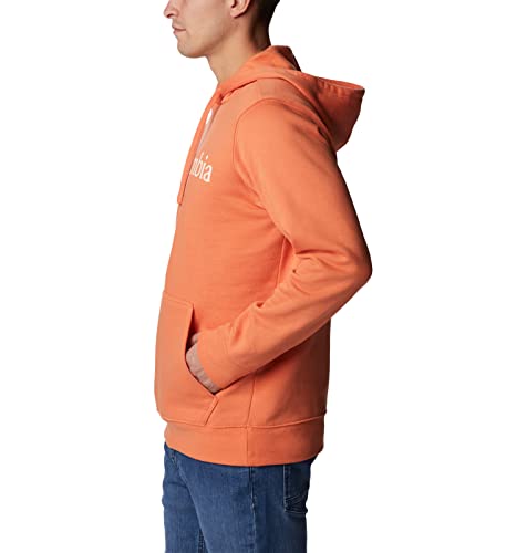 Image of Columbia mens Trek Hoodie
