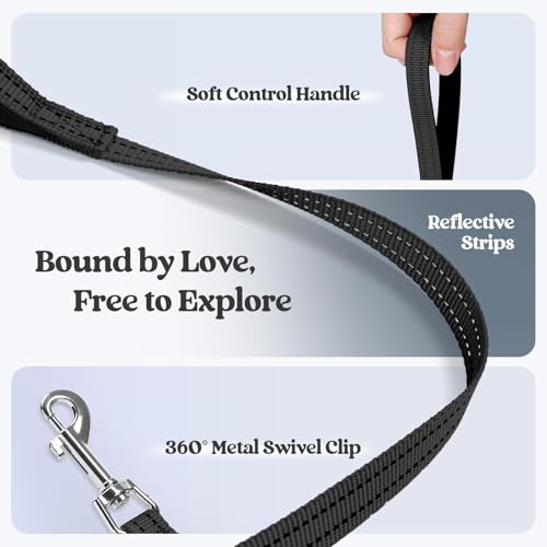rabbitgoo Step-In Harness & Leash Set (Black, M) — view 7