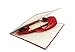PopLife VW Bug Pop Up Card for All Occasions - Happy Birthday, Congratulations, Retirement, Work Anniversary, Fathers Day - Collectible Car, German Auto - Folds Flat for Mailing