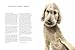 Die Gefühle der Tiere: Von eifersüchtigen Affen, ängstlichen Hunden und pfiffigen Ratten: Kinderbuch ab 8 Jahre mit fotorealistischen Illustrationen
