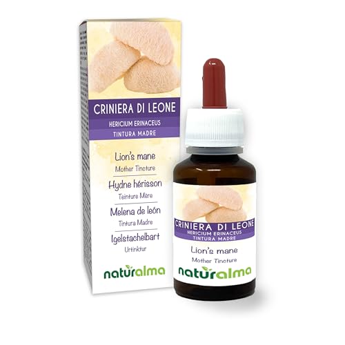 Melena de león o Seta erizo (Hericium erinaceus) hongo Tintura Madre sin alcohol Naturalma - Extracto líquido gotas 60 ml - Complemento alimenticio - Vegano