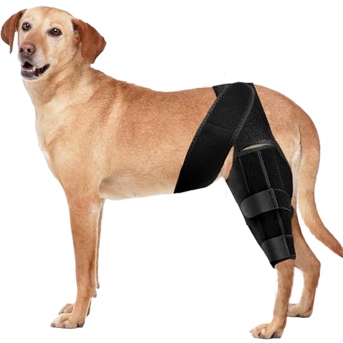 Buteoutzzl Dog Knee Brace for Torn ACL & Arthritis,Adjustable Hind & Front Leg Support Vet-Recommended Joint Protection & Pain Relief Recovery Brace for Small Medium Large Dogs