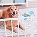 Carlson Extra Wide Walk Through Pet Gate with Small Pet Door, Includes 4-Inch Extension Kit, Pressure Mount Kit and Wall Mount Kit,White