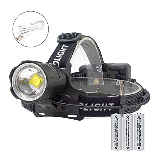 10 Best Head Torch For Dog Walking in 2023 (July update)