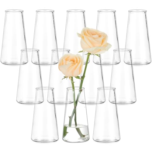 Hewory Glass Bud Vases for Centerpieces: Small Clear Modern Flower