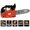 GT GARDEN Tronçonneuse élagueuse thermique 25 cm3, 1 CV, guide 26 cm, 2 chaînes