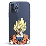 LA CASA DE LAS CARCASAS