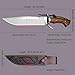 WPKOPYA Bowie Knife (Mirror Light) 16” 9Cr18MoV Steel, 5mm Thick Blade with Rosewood Handle, Copper Rivets and Premium Leather Sheath – Outdoor Hunting, Survival, Camping Knife (Tactical style)