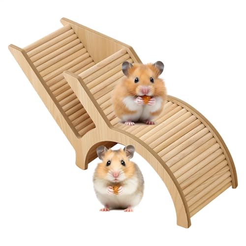 Échelle d'escalade pour hamster et tunnel d'activité en bois - 2