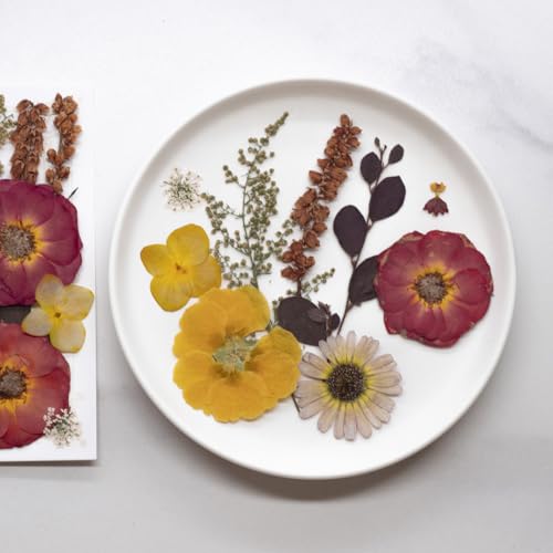Flores Secas Prensadas para Manualidades 40 Piezas miniatura 4
