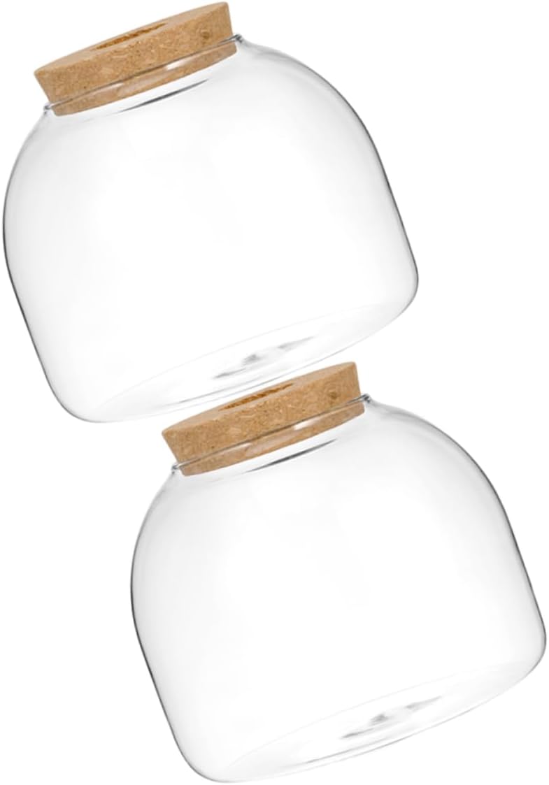 Totority 2pcs Glass Terrarium Bottle for Moss Landscape Decorative Plant Storage Jar Stopper for Hydroponic Plants and Home Decor