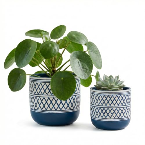 HERDUK Decorative Ceramic Flower Pots Set of 2 – 6 & 4.7 Inch Indoor Plant Pots, Boho Decorative Pots for Plants, Orchid & Succulent Planters with Drainage