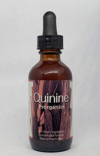 Peruvian bark, Quinine, Quina, Quinine Bark, Yellow Quinine, Yellow Quinine Bark Cinchona officinalis Inflorescence by Prorganics