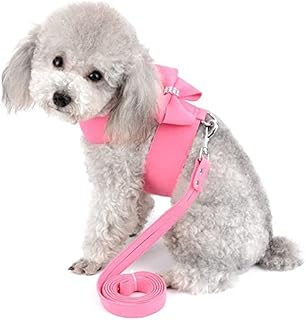 chihuahua harness amazon