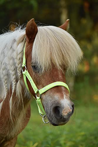 Foto von Start ILoveMyMini Reithalfter für Fohlen, verstellbar an Kinn- & Genickstück Fohlenhalfter, Halfter für Fohlen - Halfter für Mini Shetty Halfter für Holzpferd (Foal, Grün)