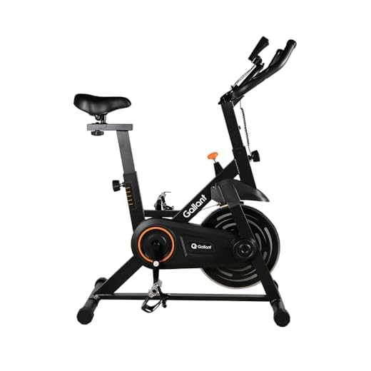 Bicicleta Ergométrica Spinning Gallant Trainer Roda de 6kg (gsb06hbta-pt)