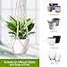 LEWESU Macrame Plant Hanger Indoor Set of 2 with 4 Hooks, Indoor Outdoor Hanging Planter for Plants Holder with Decorative Wood Beads & No Tassels, Boho Home Decor, 35 Inch Ivory (Pots Not Included)