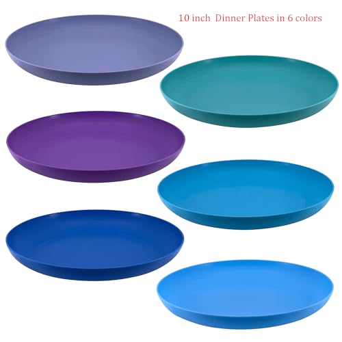 AOYITE Plastic Plates Reusable 10 inch, Unbreakable Dinner Plates set of 6, BPA Free Large Kids Salad Plates, Dishwasher & Microwave Safe Plates for Kitchen Party Outdoor (Assorted) - Thumbnail 5