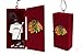 Team Sports America Chicago Blackhawks Team Locker Ornament