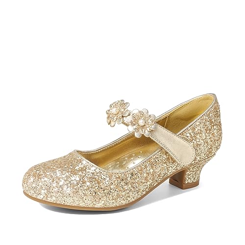 DREAM PAIRS Girls Mary Jane Dress Shoes Pumps Low Heels Flower Party Wedding Princess 13 Little Kid Gold-glitter