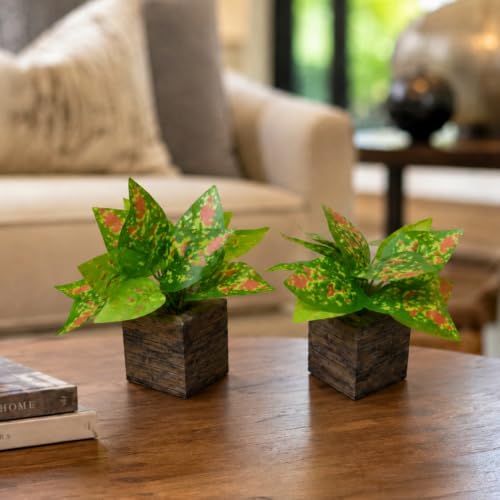 Image of DecoreBugs Artificial Real Touch Flower Plant with Pot (Pack of 2), 16 cm Height, Decorative Faux Floral Plant for Home, Office, Living Room, Bedroom, Table & Shelf Decor