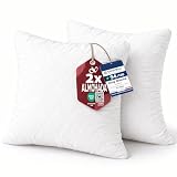Flowen Almohadas para Cama 65x65 2 Unidades Relleno Cojin Hipoalergénico Antiácaros y Suave Cuadrado para Hogar con Funda de Almohada Acolchada Blanco Extraíble y Lavable