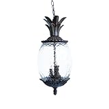 Acclaim 7516BC Lanai Collection 3-Light Outdoor Light Fixture Hanging Lantern, Black Coral
