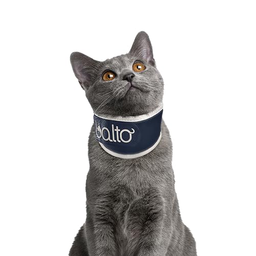 Orthopedic Cat Neck Brace – Cervical Spine Support Collar for Cats – Lightweight, Adjustable, Soft Padded Neck Stabilizer for Injury Recovery, Post-Surgery, Arthritis – Vet Recommended - XXSmall