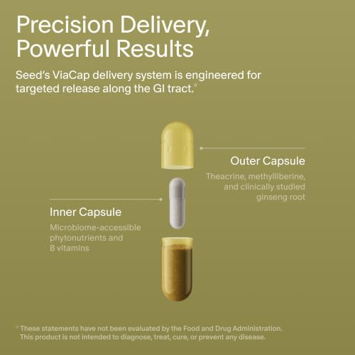Seed AM-02 Energy + Focus Supplement