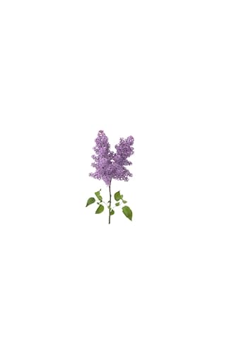23 purple flowers: it is surrender to love, dressed in nothing, that will set me free