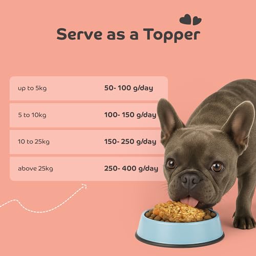 Image of Fresh Fish Meal Dog Food for Adult Dogs | High-Protein Fish Recipe with Omega for Healthy Skin & Coat | Easy Digestion & Complete Balanced Nutrition | 100g
