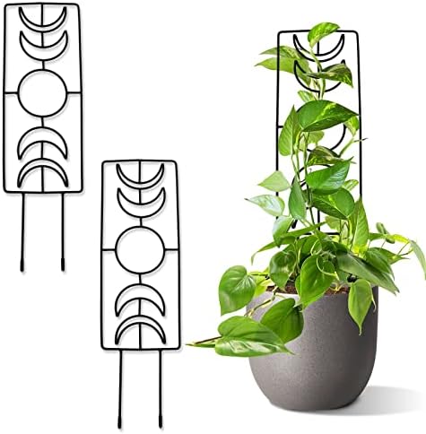 Tuitessine Moon Phase Trellis Indoor Plant Trellis Climbing Plant Small Garden Trellis for Potted Plant Houseplant Metal Wire Trellis Pot Trellis 2 Packs 14.1’’