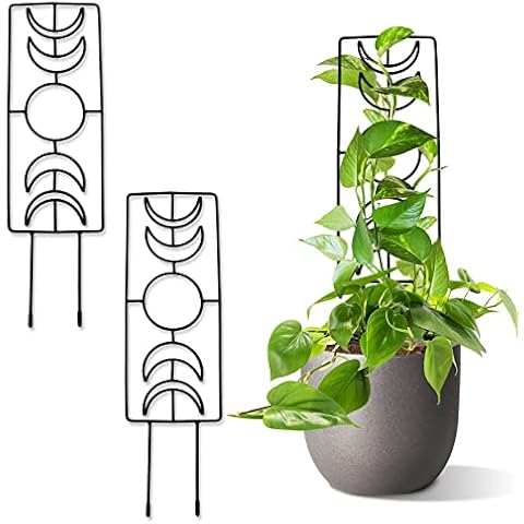 Tuitessine Enrejado de Fase Lunar de Alambre de Metal para Plantas en Maceta de Interior Cover
