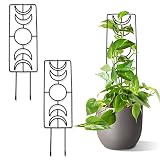 Tuitessine Moon Phase Trellis Indoor Plant Trellis Climbing Plant Small Garden Trellis for Potted Pl