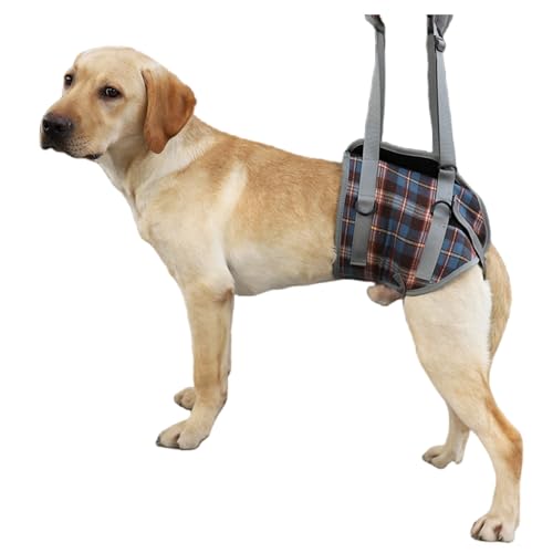 YYKSYDPT 犬用歩行補助ハーネス 後ろ足サポート 介護用ハーネス 高齢 怪我をしたペット 障害のあるペットに最適 ウォーカー (後脚は青, S)